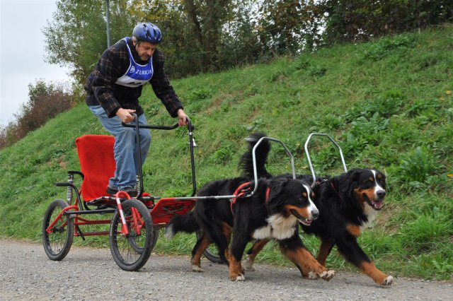 Rennen Weinfelden